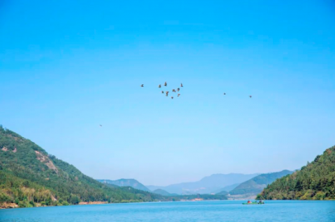 ���һ�����Σ���ת��